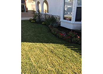 Torrance Lawn Care Services CG Tree and Landscape Inc.