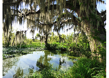 3 Best Hiking Trails in Lakeland, FL - Expert Recommendations