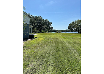 Tampa Lawn Care Services C & J Property Clean Up LLC