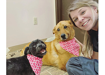 Cleveland Pet Grooming CLEdogs Spa & Social