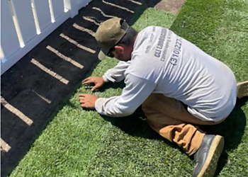 Inglewood Landscaping Companies CLI Carrillo Landscaping Inc