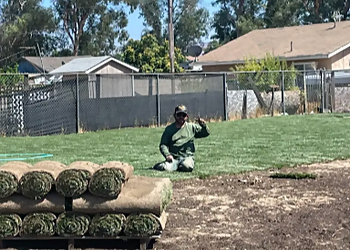 Inglewood Landscaping Companies CLI Carrillo Landscaping Inc