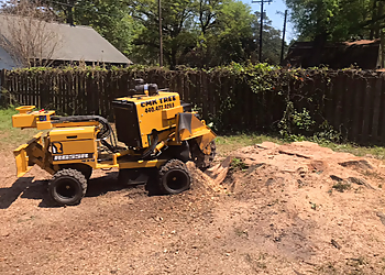 Savannah Tree Services CMK Tree