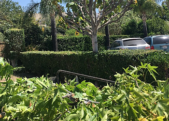 Fontana Landscaping Companies CM Landscaping Services