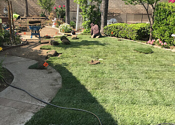 CM Landscaping Services