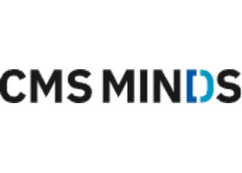 CMS MINDS Raleigh Web Designers image 1