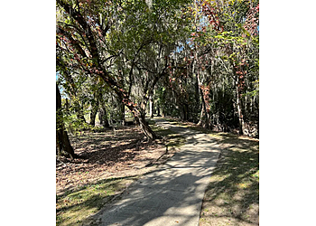CMT Tree Service - Montgomery, AL Tree Services - Maintenance Service Image