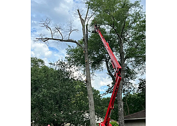 CMT Tree Service - Montgomery, AL Tree Services - Service Image