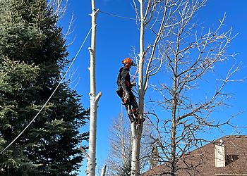 Billings Tree Services CM Tree Service and Removal