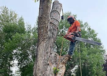 Billings Tree Services CM Tree Service and Removal