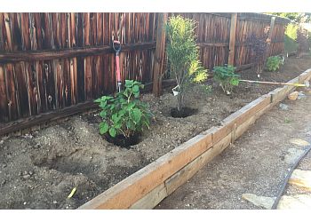 Colorado Native Landscapes & Design, LLC - Arvada, CO Landscaping Companies