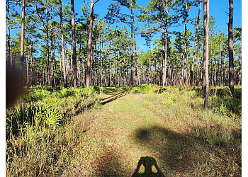 3 Best Hiking Trails in Lakeland, FL - Expert Recommendations