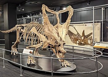 Columbus Places To See COSI Columbus