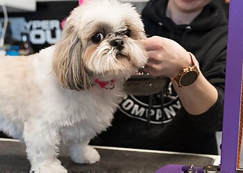 CR Grooming in Cedar Rapids ThreeBestRated