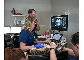 Columbia Veterinary Clinics CVETS- Columbia Veterinary Emergency Trauma and Specialty