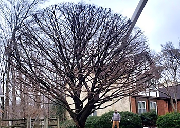 Washington Tree Services Caballeros Tree Service & Landscaping, LLC.