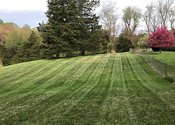 Washington Tree Services Caballeros Tree Service & Landscaping, LLC.