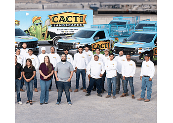 Cacti Landscapes - Las Vegas, NV Lawn Care Services - Team Working Image