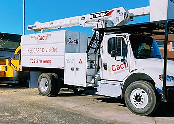 Las Vegas Landscaping Companies Cacti Landscapes Inc.