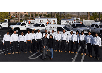 Las Vegas Lawn Care Services Cacti Landscapes