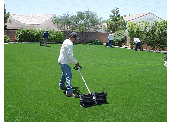 Las Vegas Lawn Care Services Cacti Landscapes