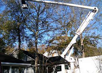 Mobile Tree Services Cain's Tree Service