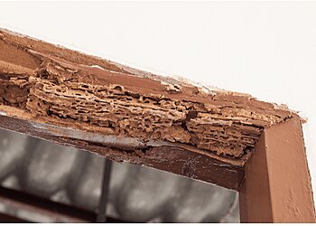 San Jose Home Inspections CalPro Inspection Group