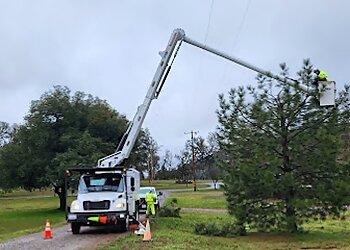 Bakersfield Tree Services Cal State Tree Service