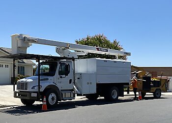 Bakersfield Tree Services Cal State Tree Service