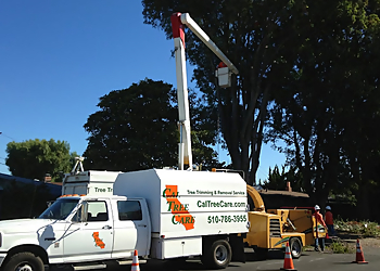 Hayward Tree Services Cal Tree Care