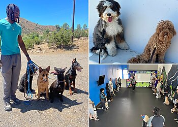 San Jose Dog Training Cali K9