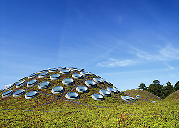 San Francisco Places To See California Academy of Sciences