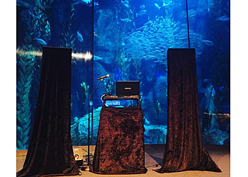 California DJs - Costa Mesa, CA Djs - DJ Setup Image