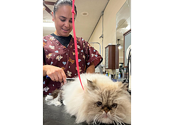 Salinas Pet Grooming California Groomin'