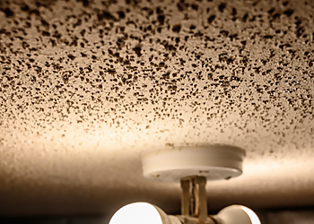 California Healthy Home Inspections & Remediation Inc. California Healthy Home Inspections & Remediation Inc. - San Francisco, CA Home Inspections - Work Environment Image