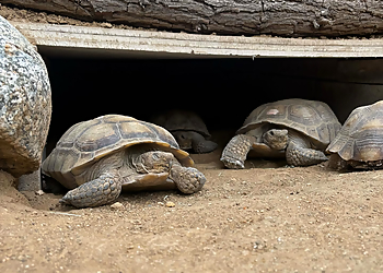 Bakersfield Places To See California Living Museum