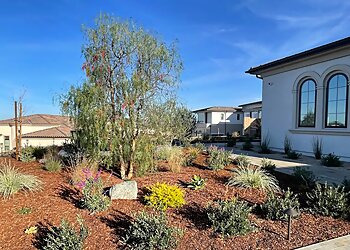 San Diego Landscaping Companies California Smartscape