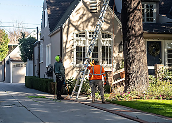 California Tree Design Inc. - Pasadena, CA Tree Services - Residential Service Image