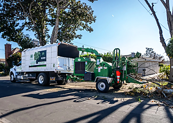 California Tree Design Inc. - Pasadena, CA Tree Services - Service Vehicle Image