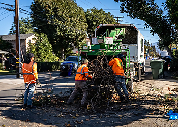 California Tree Design Inc. California Tree Design Inc. - Pasadena, CA Tree Services - Team Working Image