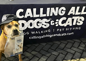 Calling All Dogs and Cats  St Petersburg Dog Walkers image 1