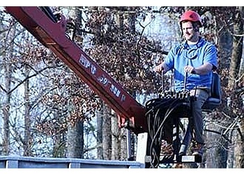 3 Best Tree Services In Richmond, VA - Expert Recommendations