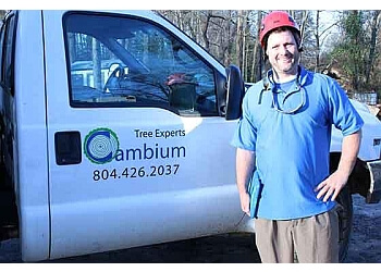 Cambium Tree Services