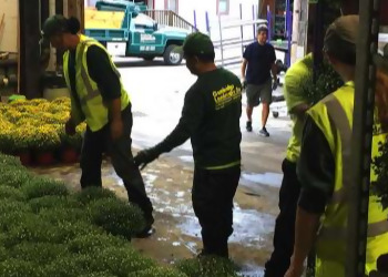 Cambridge Lawn Care Services Cambridge Landscape Co.Inc