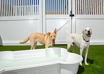 Shreveport Pet Grooming Camp Bow Wow