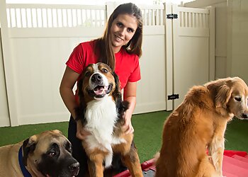 Camp Bow Wow Shreveport Pet Grooming image 1