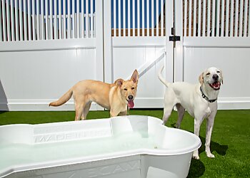 Baton Rouge Pet Grooming Camp Bow Wow Baton Rouge