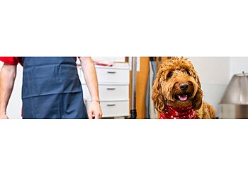 Bridgeport Pet Grooming Camp Bow Wow Fairfield-Trumbull