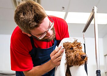 Camp Bow Wow Fairfield-Trumbull Bridgeport Pet Grooming image 1