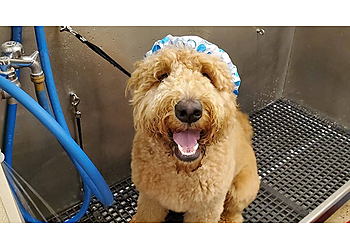 Camp Bow Wow Montgomery - Montgomery, AL Pet Grooming - Service Image